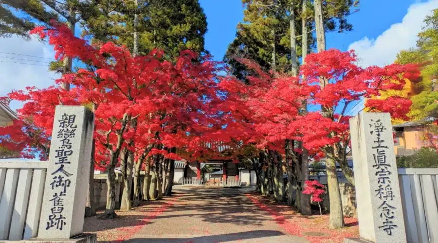 Top 10 Best Restaurants in Miyagi You Must Try