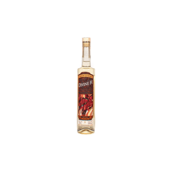 Hilbing Triple Sec Divine H Gin (500ml x 6 Bottles)
