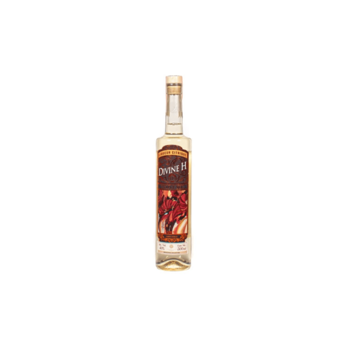Hilbing Triple Sec Divine H Gin (500ml x 6 Bottles)